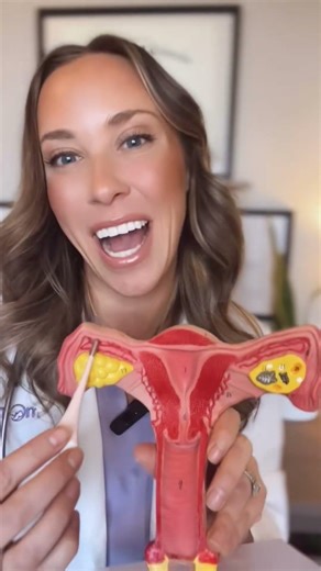 The 24-Hour Egg Rule: Conception Timing Facts