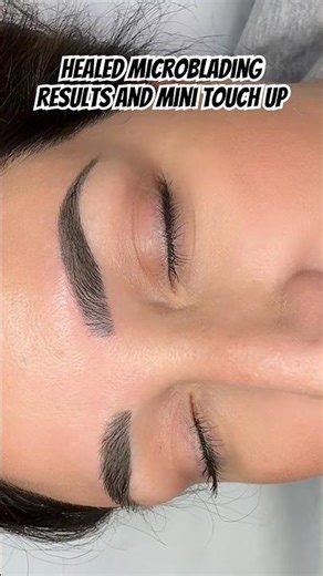 Healed Microblading Results + Mini Touch-Up