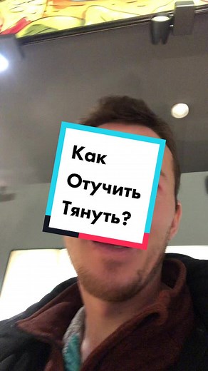 Understanding Canine Behavior in a Colorful Setting