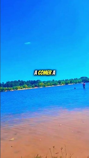 Reflexiónes #frases #motivacion #reflexionesdeldia #pensamientos #personas