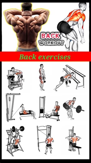 89K views · 818 reactions | Gym back exercises ✅ #backworkout #workout | Som Packs | Facebook