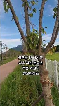 Hanam Misa] Dangjeong Neighborhood Park Park Golf Course: A Complete Guide! From Course Features ...