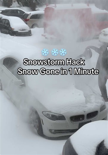 Innovative Leaf Blower Hack for Snow Removal
