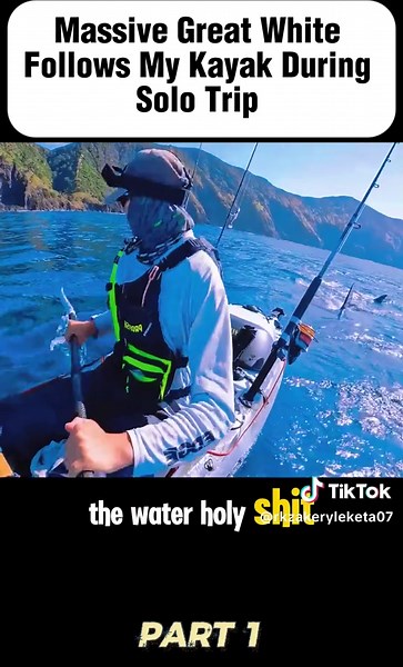 Encountering the Great White Shark While Kayaking