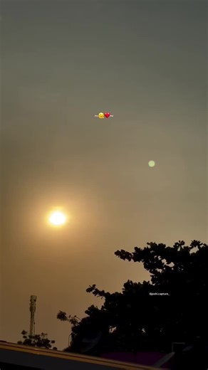 Sunshine Tune: A Love for Tamil Songs