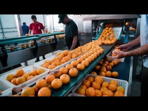 21 de janeiro de 2026