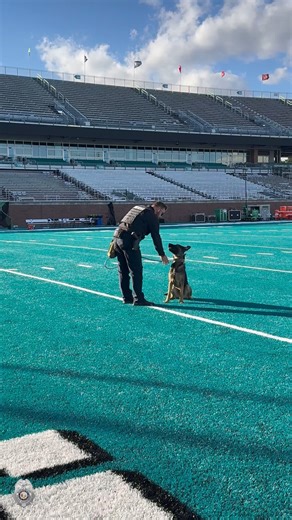 91K views · 5.6K reactions | Meet Casper – Our Not-So-Ghostly...