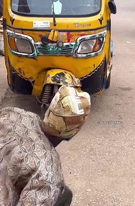 241K views · 10K reactions | STRANGE MAN GIVING PEOPLE 100K IN THE HOOD AND THE BRAVEST WHO CAN COLLECT IT KEEPS IT // PART 2 // | Teaser PRANks 2 | Facebook