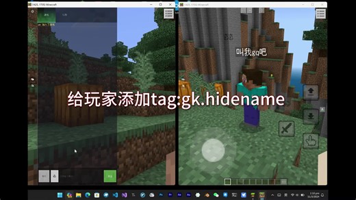 tag隐藏名字说明