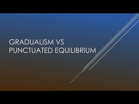 Gradualism vs Punctuated Equilibrium | Biology |