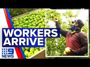 Seasonal workers arrive on Victorian farms | 9 News Australia