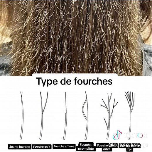 Conseils pour Remédier aux Cheveux Abîmés par les Fourches