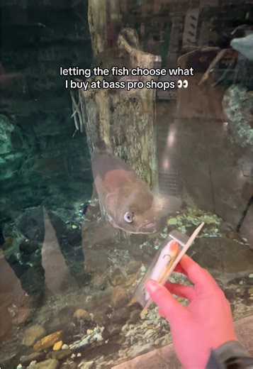 How I choose the lures I buy at bass pro shops 👀🤷🏼‍♂️ #fishing #fishtok #fyp #viral #bassproshops