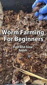 Worm Farming For Beginners | Fast and Slow Foods #vermicomposting