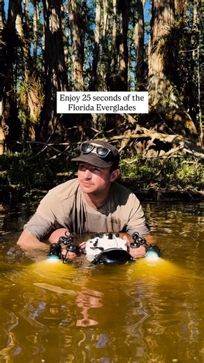 418 reactions · 13 shares | The hidden world of the Florida Everglades.  The Everglades is a vast subtropical wilderness in south Florida, known as the “River of grass”. This unique ecosystem is home to over 2000 species of plants and animals! Exploring here is like entering a new planet. 10/10 recommend. #florida #gators #alligator #wildlife #wildlifephotography #cinematic #filmmaking #sonyalpha #everglades | Jake Guzman Photos | Facebook