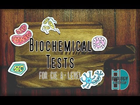 A-Level Biology - Biochemical Tests