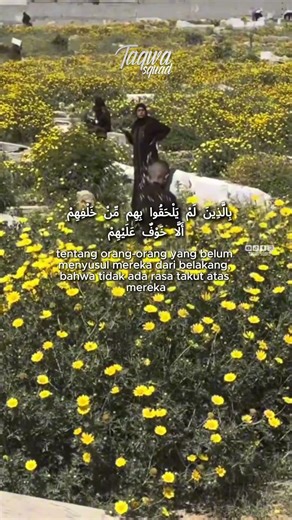 Menjelang Lebaran 72000 Syuhada di Gaza Kini Berhias Bunga