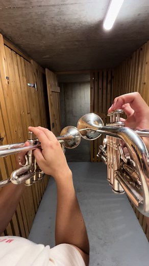 CMで1万回聞くやつ吹いた #金麦 #オールナイトニッポン #トランペット