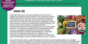 What is MSU Extension?