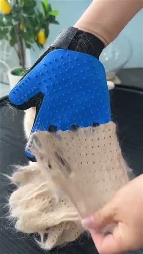 Magic Glove Removes All Cat Hair Instantly#petcare