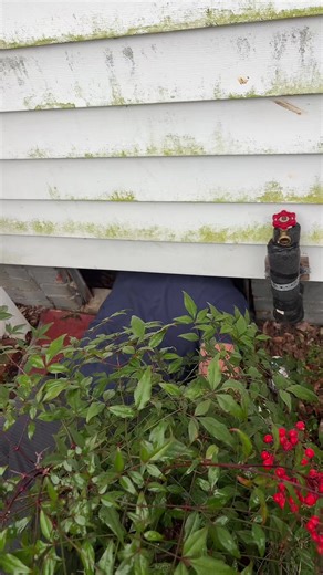 Plumbing Solutions for Busted Pipes