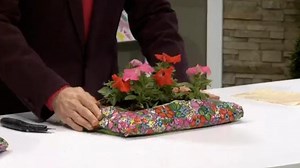 FYI Guy: Plant this pot-less flower garden