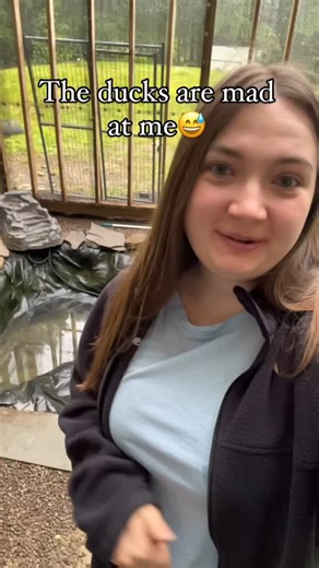 127 reactions · 39 comments | I did give them their old winter pool (a cement mixing tub) to use in the meantime but Donut, Mango, Peaches, & Kiwi wouldn’t let the other ducks in #DunkinDucks #Ducks #PetDucks #CallDucks #DuckPond #FarmAnimals | Dunkin Ducks | Facebook