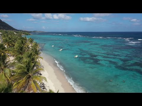 Guadeloupe : les trésors de l'archipel papillon • FRANCE 24