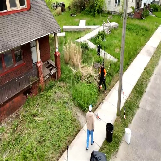 2.5K views · 74 reactions | Everyone has a theory when a strange structure appears in the neighborhood. | Free Clean | Facebook