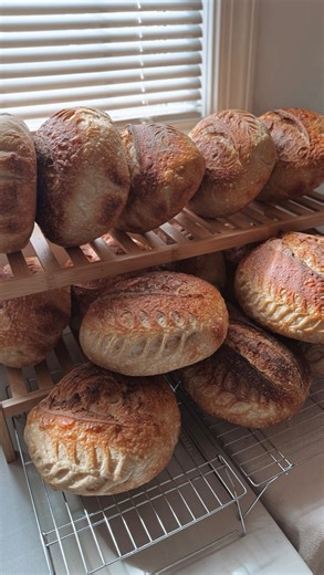 Madeleine | Farm Stand & Farm Life on Instagram: "When I look back on this season, my heart is full of pride and gratitude. Every year brings its own unique challenges, and this one was no exception. We stepped into the season already carrying a full load — my sister’s wedding, the difficult birth of my third child, and family graduations — and from there, it never really slowed down. Still, we moved through it with grace, humility, determination, honest communication, and a deep desire to build