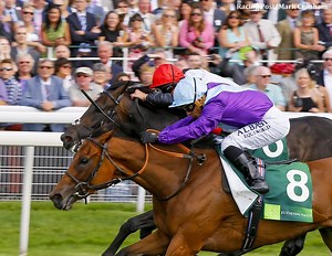 Arabian Queen - Alchetron, The Free Social Encyclopedia