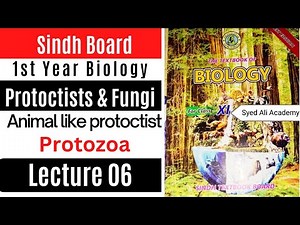protozoa introduction | protozoa classes | animal like protoctista | fungi and protoctists class 11