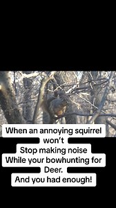 1.2M views · 15K reactions | When that annoying squirrel won’t let you alone while deer hunting. | Huntchannel.tv | Facebook