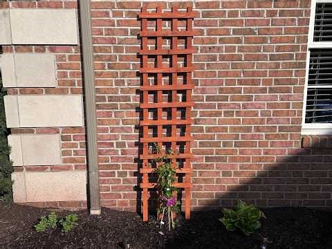 Lattice Style Garden Trellis