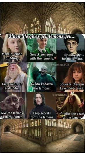 Harry Potter Meme