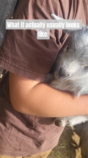 most common homeschool assumption #shorts