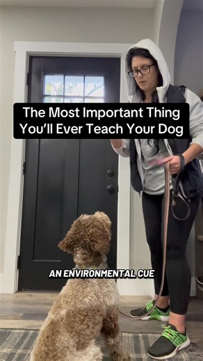 Boundary Training is one ☝️ of the most important things you’ll ever teach your dog #puppytrainingtips #puppyclass #clickertraining #puppytraining101 #puppytips | Best Buddy Dog Trainer, LLC