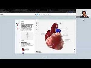 [Webinar] The New Human Studio: Build Better 3D Lessons with Confidence