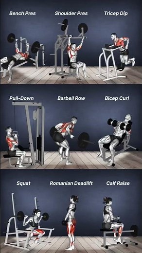 Top 9 Compound and Isolation Exercises for Full Body Workout | Muscle Target Guide with Animation