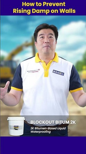 How to Prevent Rising Damp on Walls