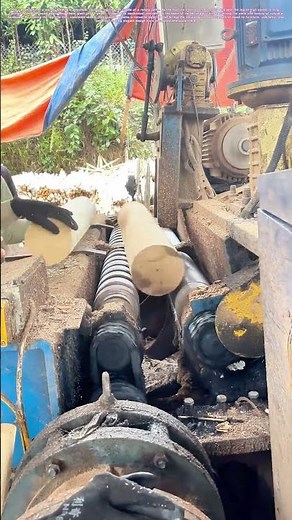 Peeling the Log: How a Single Spin Transforms Timber Into Veneer