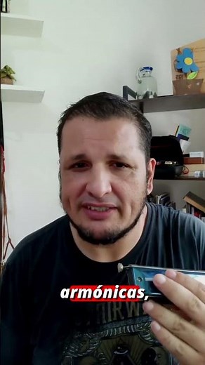 Por qué la armónica cromática es la más versátil? #sabiasque #aulamusical #aprendizajecorto