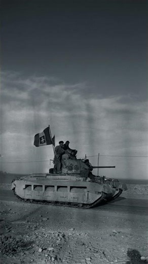 How Thick Armor Saved the British Army #ww2 #history