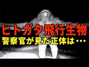 空飛ぶUMAをついに捉えた！未確認生物・フライングヒューマノイド