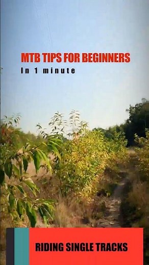 Single Track Mountain Biking for Beginners: Conquer Your First Trail with Confidence