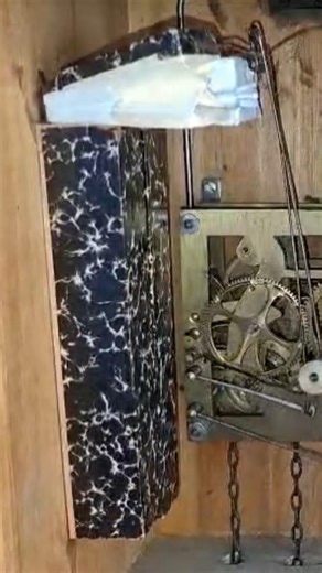 Cuckoo Clock Bellows in Action #shorts #bellows #asmrsounds #oddlysatisfying #clockwork #cuckooclock