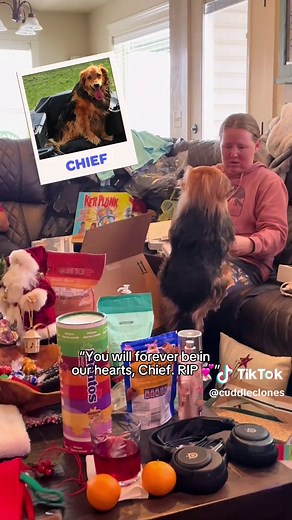 Heartwarming Cuddle Clone Surprise for Dog Lover | Emotional Pet Memorial