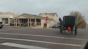 12K views · 522 reactions | Lots of early morning clip clop activity up in Mt Hope Ohio. | AmishLeben | Facebook