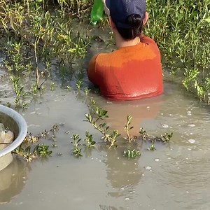 481K views · 10K reactions | Most insane shark trapping skills to catch huge exotic fish | Survival with Emma | Facebook