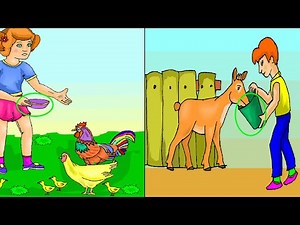 feed-food for animals ASL